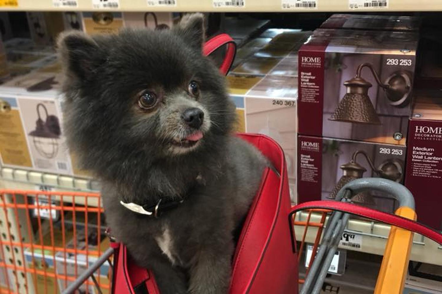 Home Depot 4