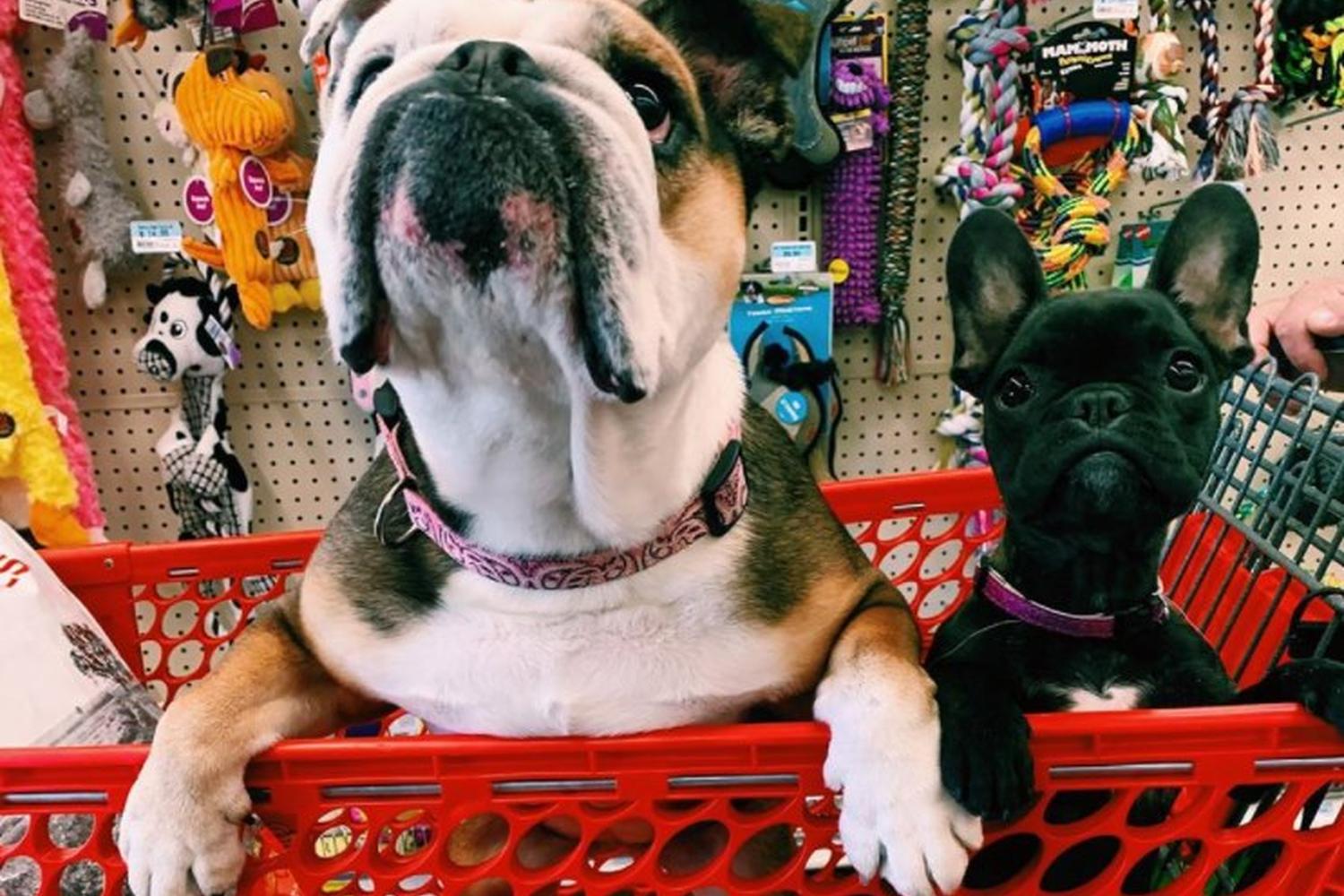 Tractor Supply Co. 2