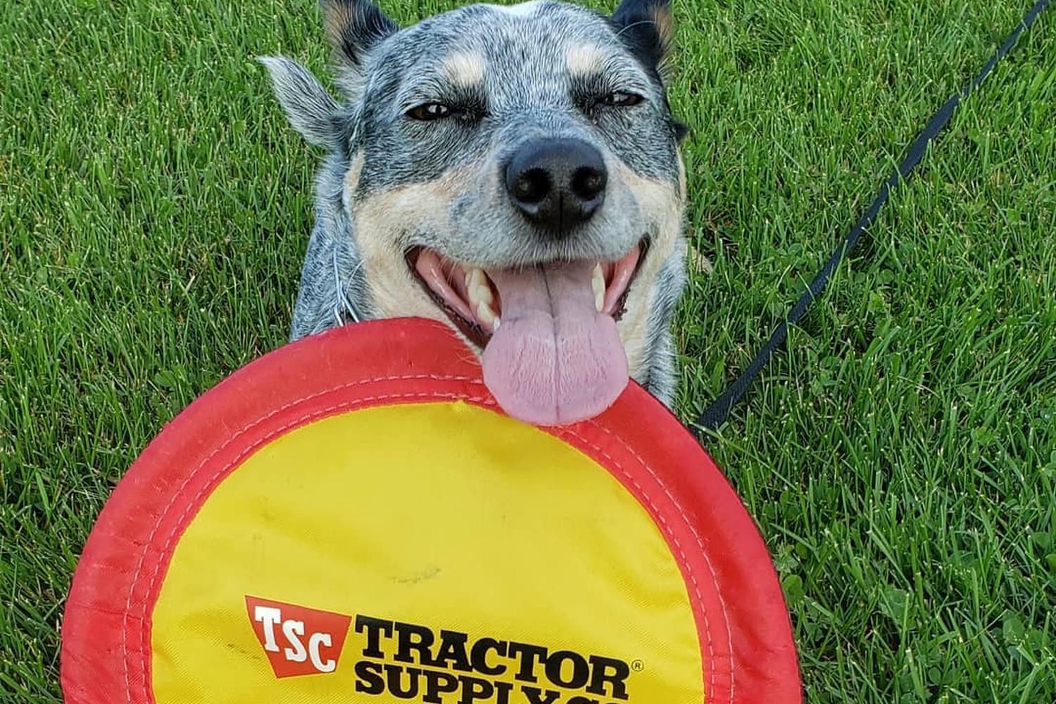 Tractor Supply Co. 0