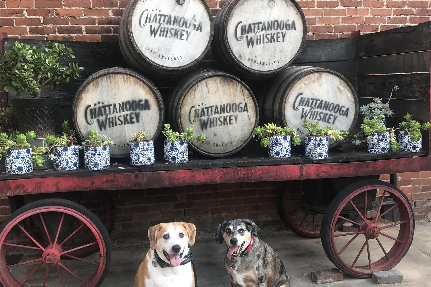 Chattanooga Whiskey Experimental Distillery 4