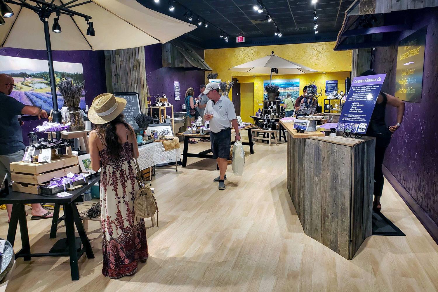 Pelindaba Lavender 3