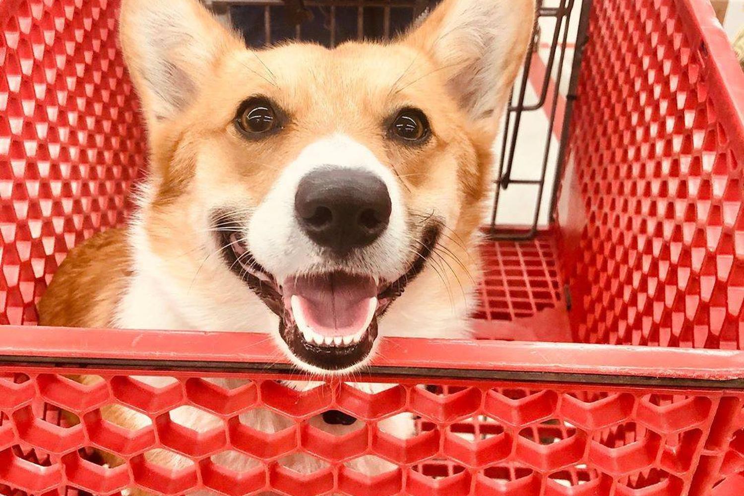 Tractor Supply Co. 0