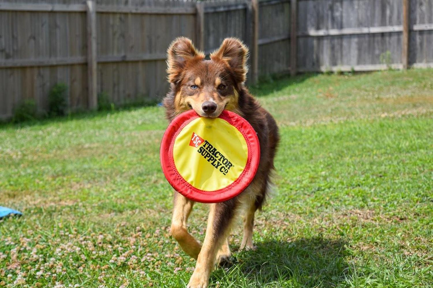 Tractor Supply Co. 4