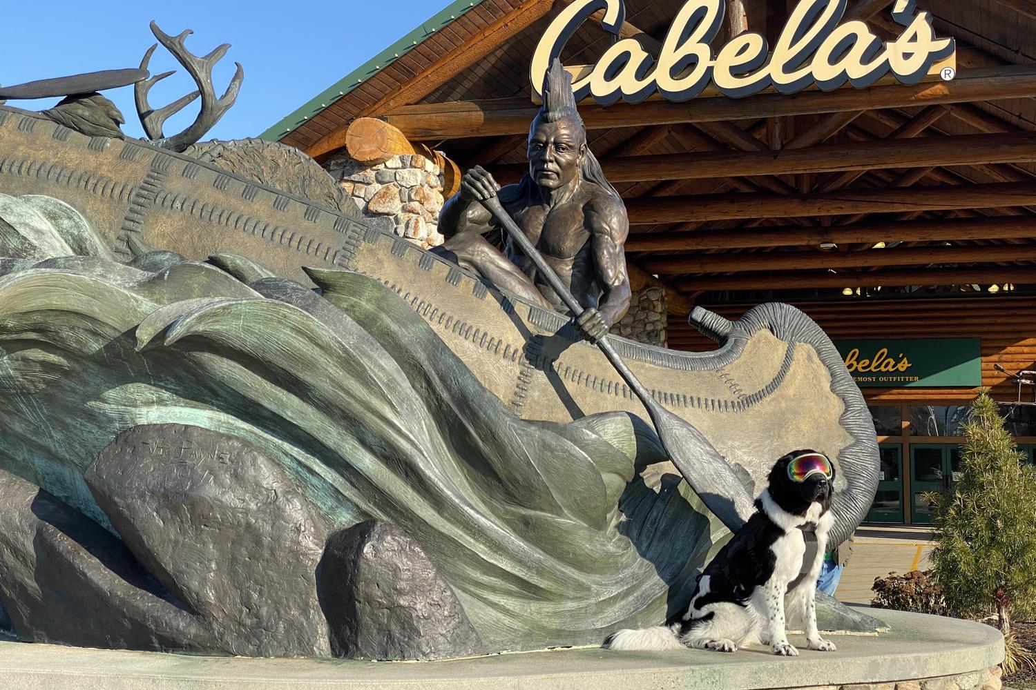 Cabela's 3