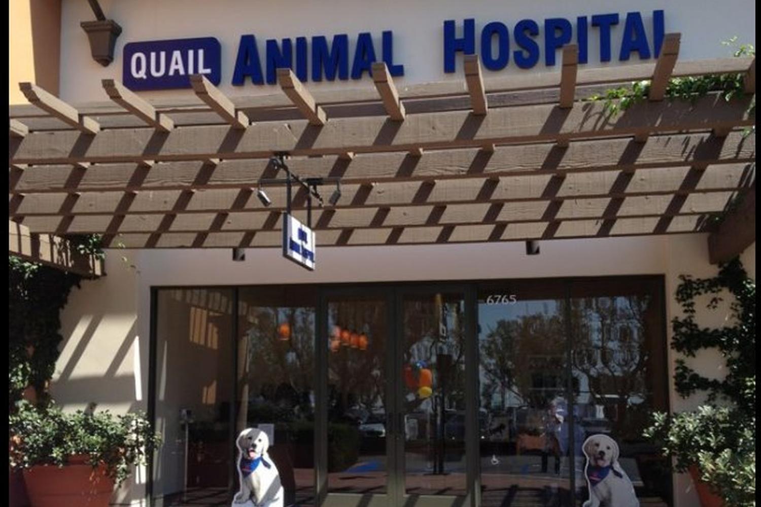 Quail Animal Hospital 1