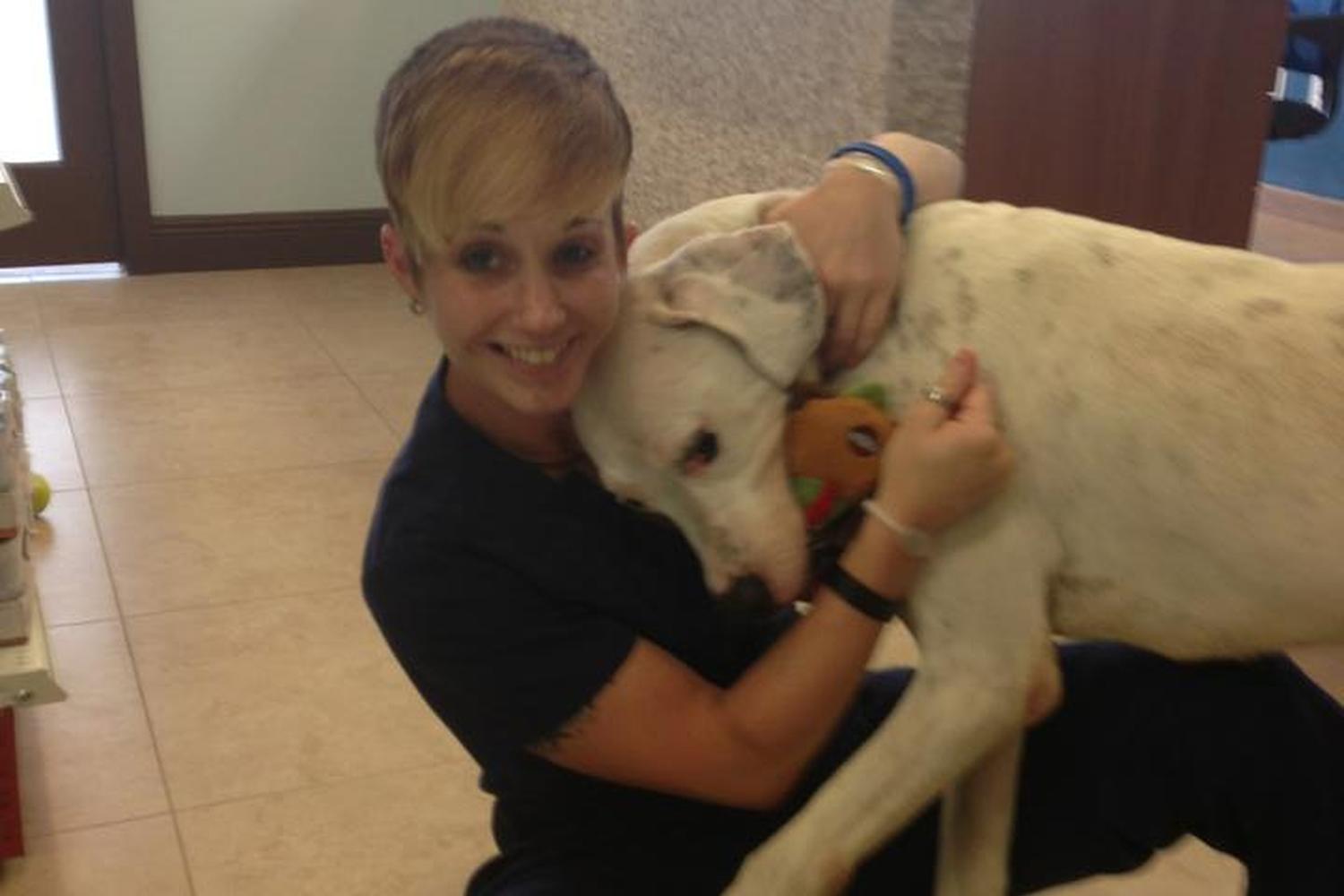 Pet Doctor of Davie 4