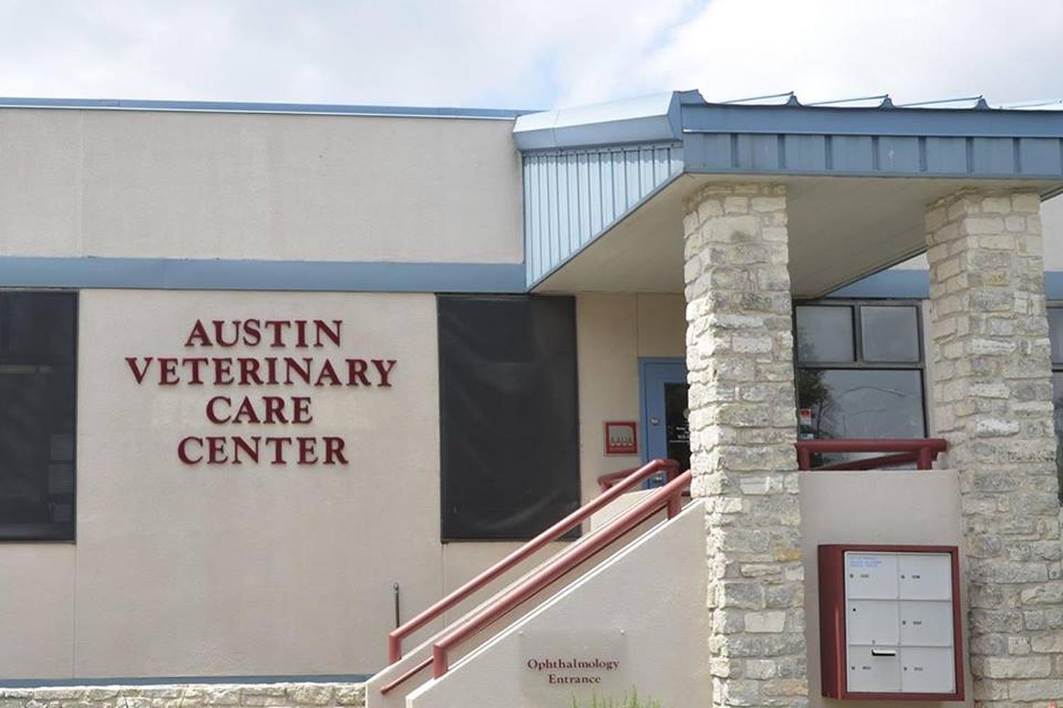 Eye Care for Animals 0