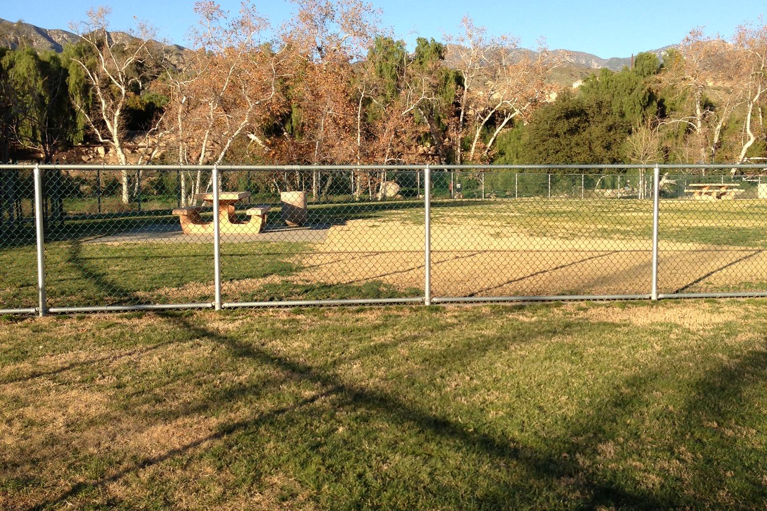 Aurantia Dog Park 4