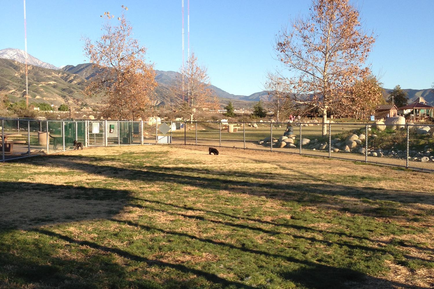 Aurantia Dog Park 1