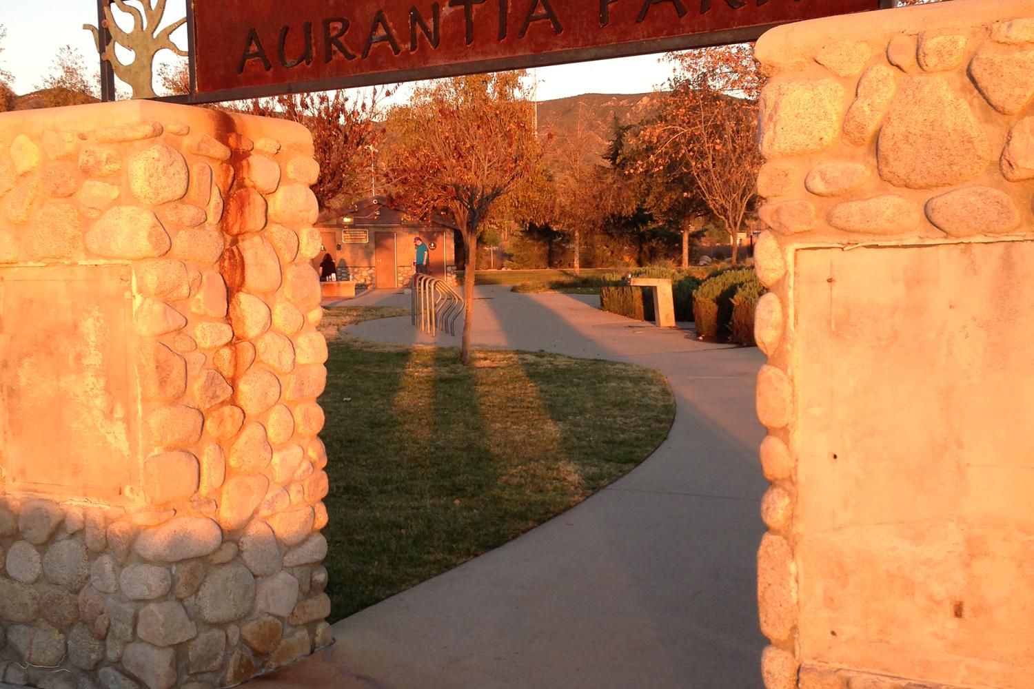 Aurantia Dog Park 2
