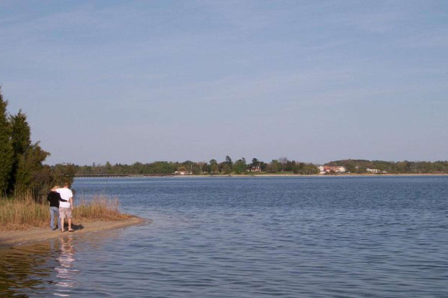 John G. Lancaster Dog Park 2