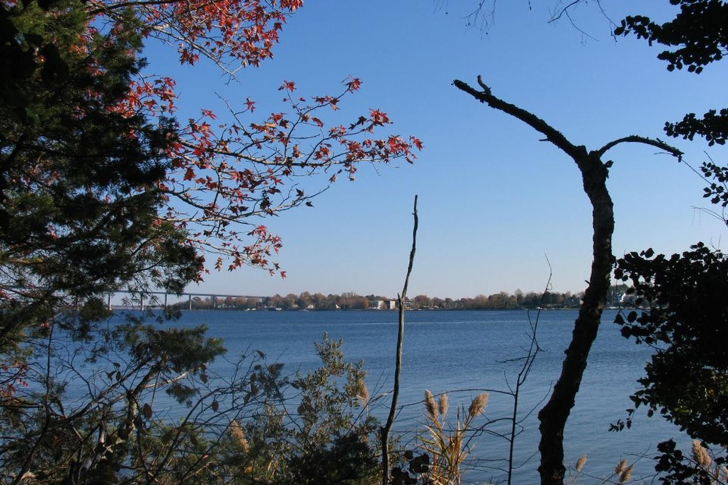 John G. Lancaster Dog Park 1