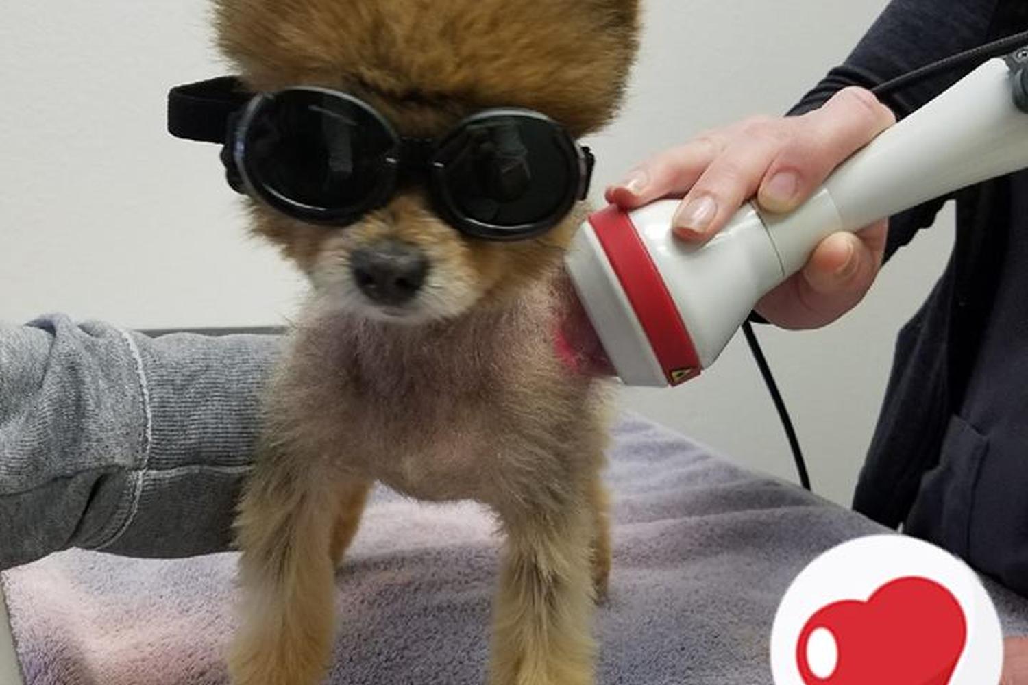 Del Valle Pet Hospital 4