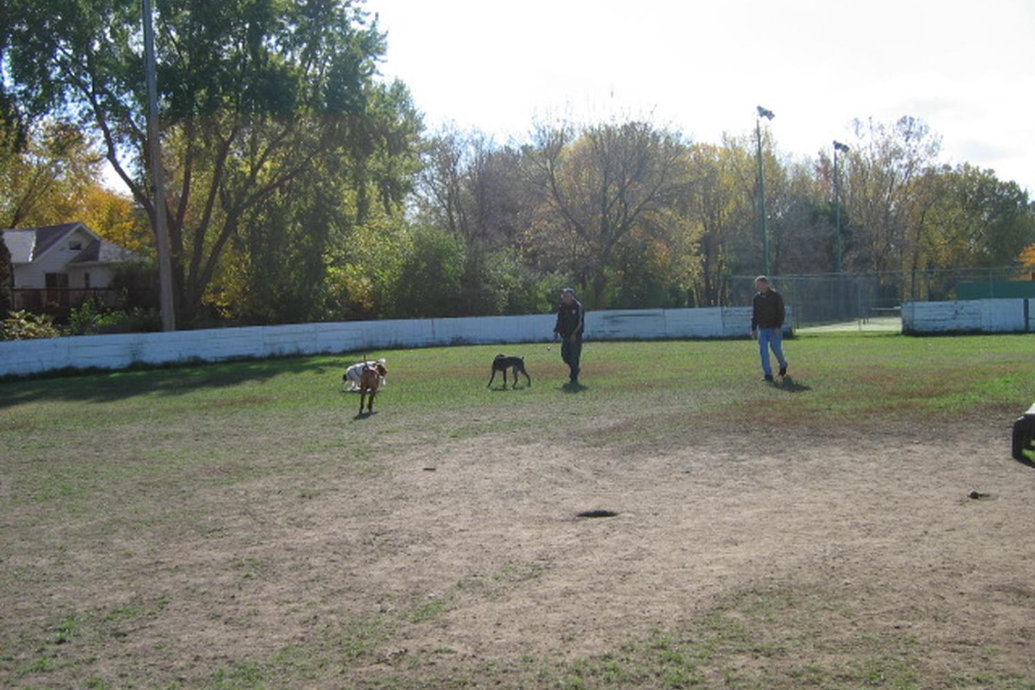 Bassett Creek Dog Park 0