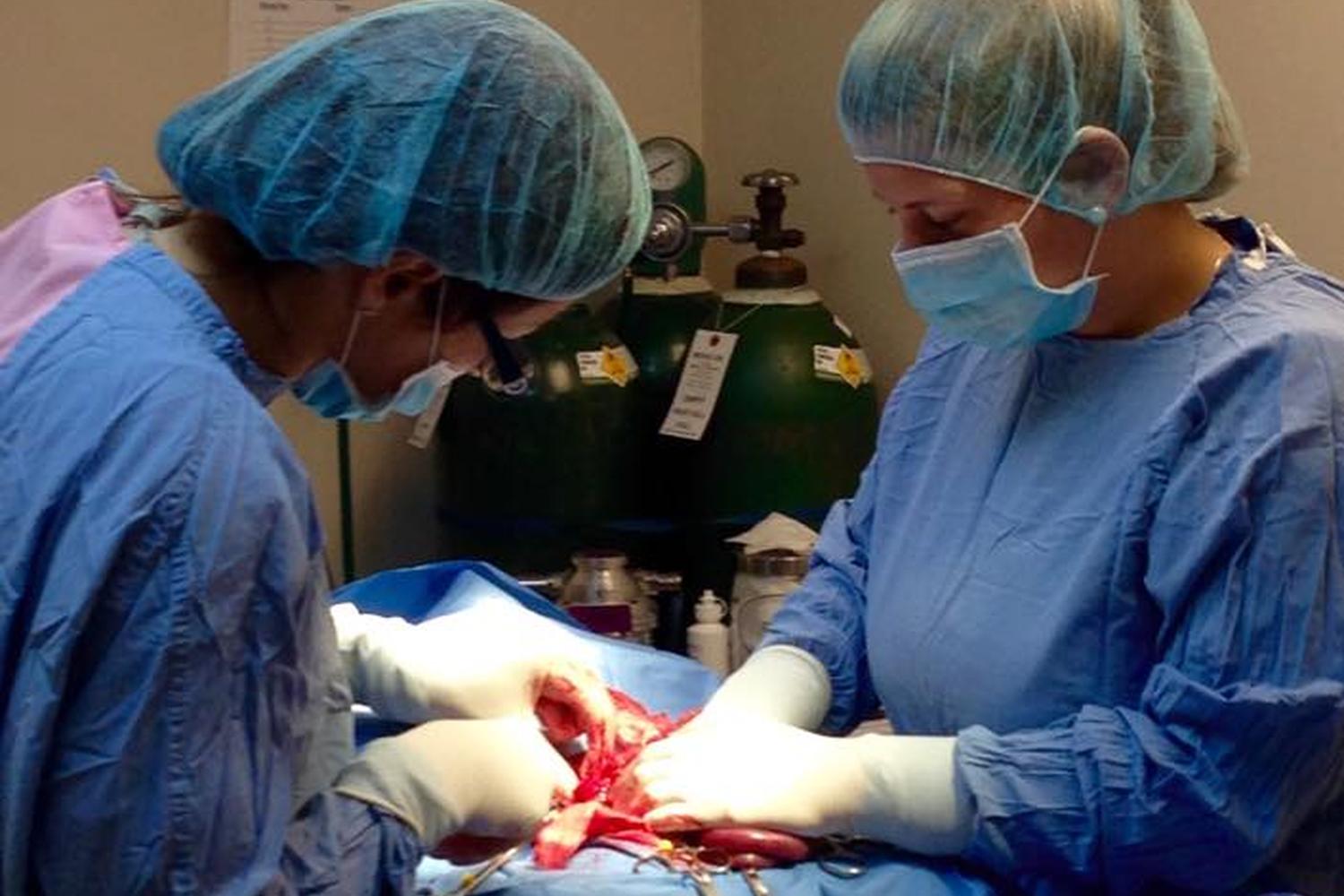 Hometown Veterinary Clinic 4