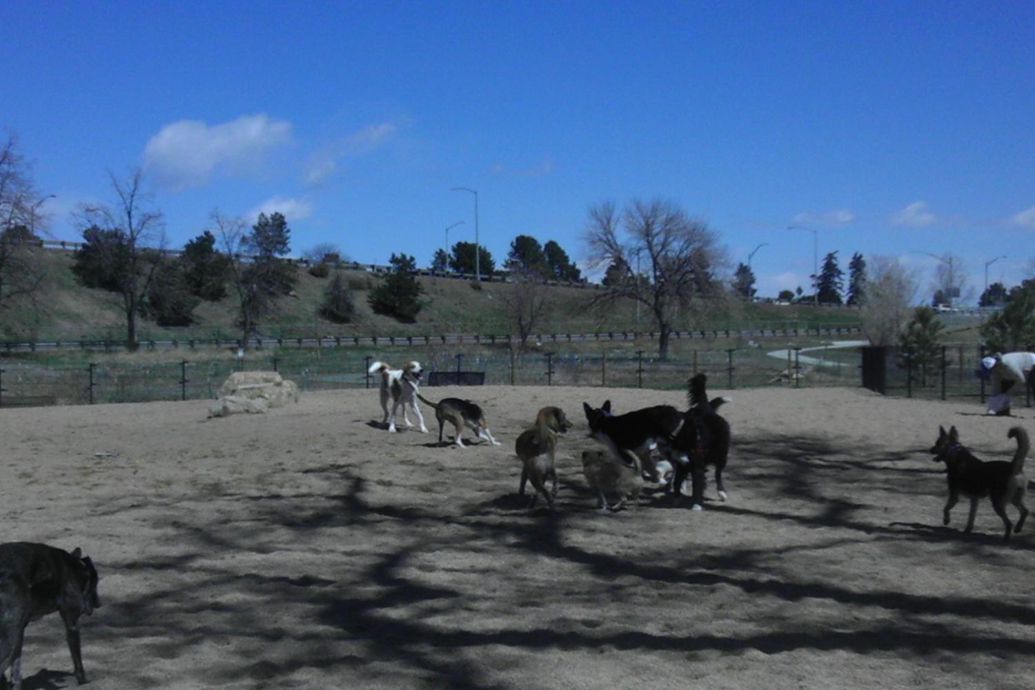 Berkeley Lake Dog Park 2