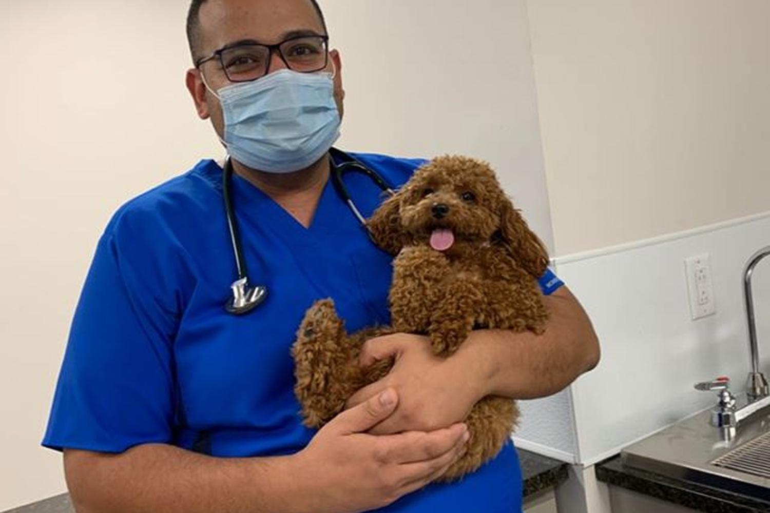 Pets R Us Vet 4