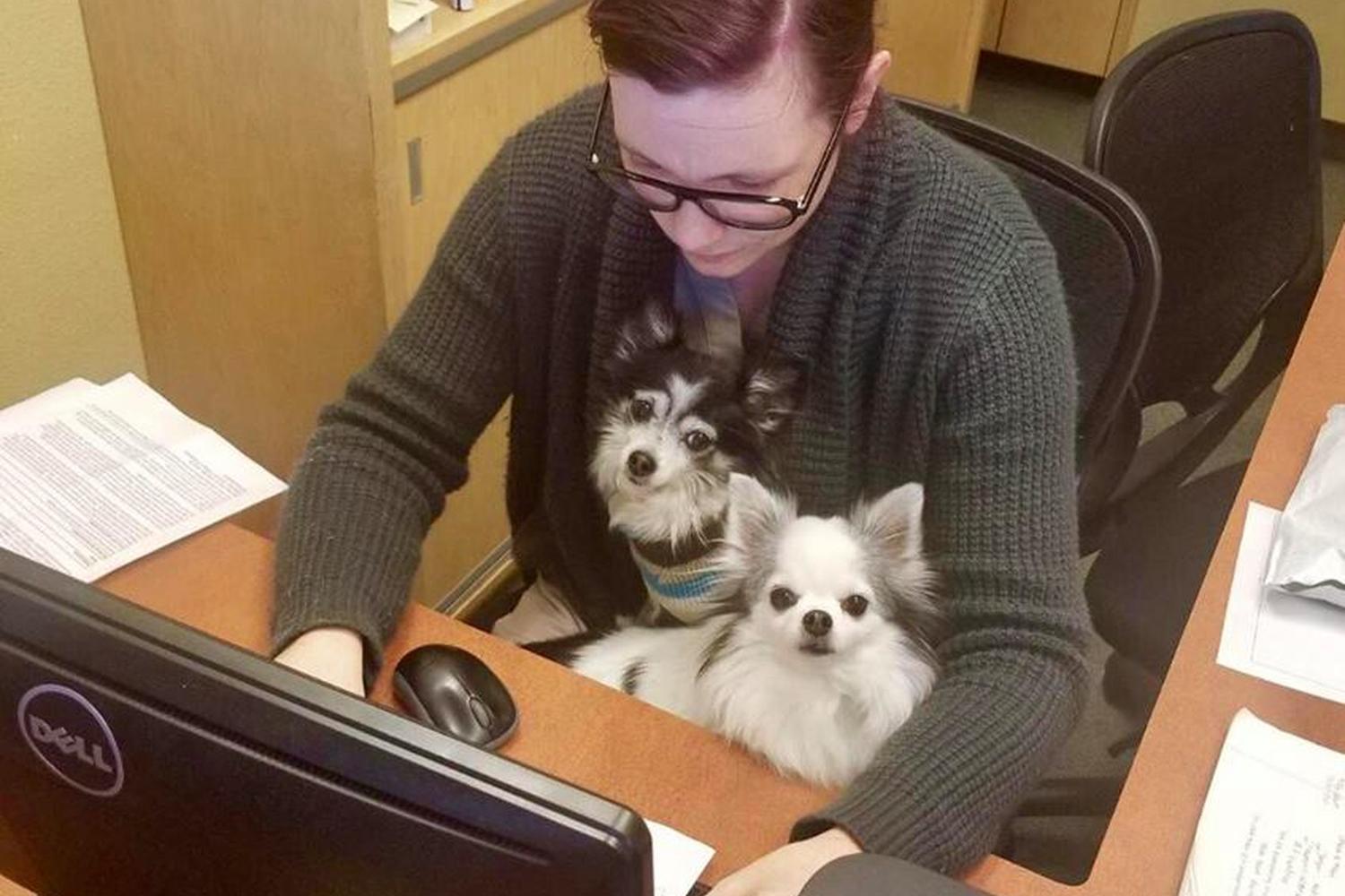 Ohio Drive Animal Hospital 7