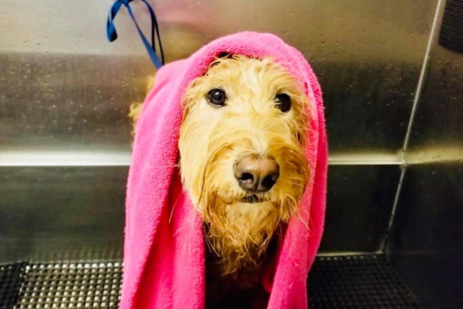 Ohio Drive Animal Hospital 6