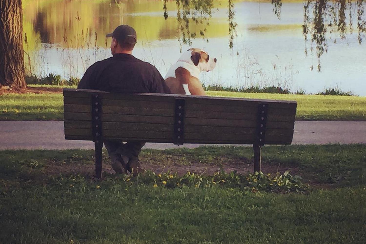 Lincoln Dog Park 0