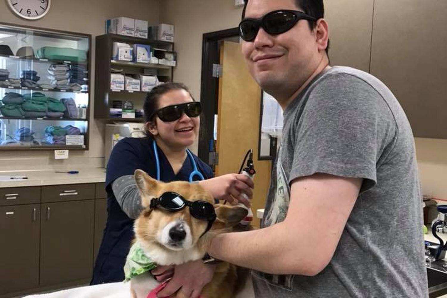 Bayshore Animal Hospital 2