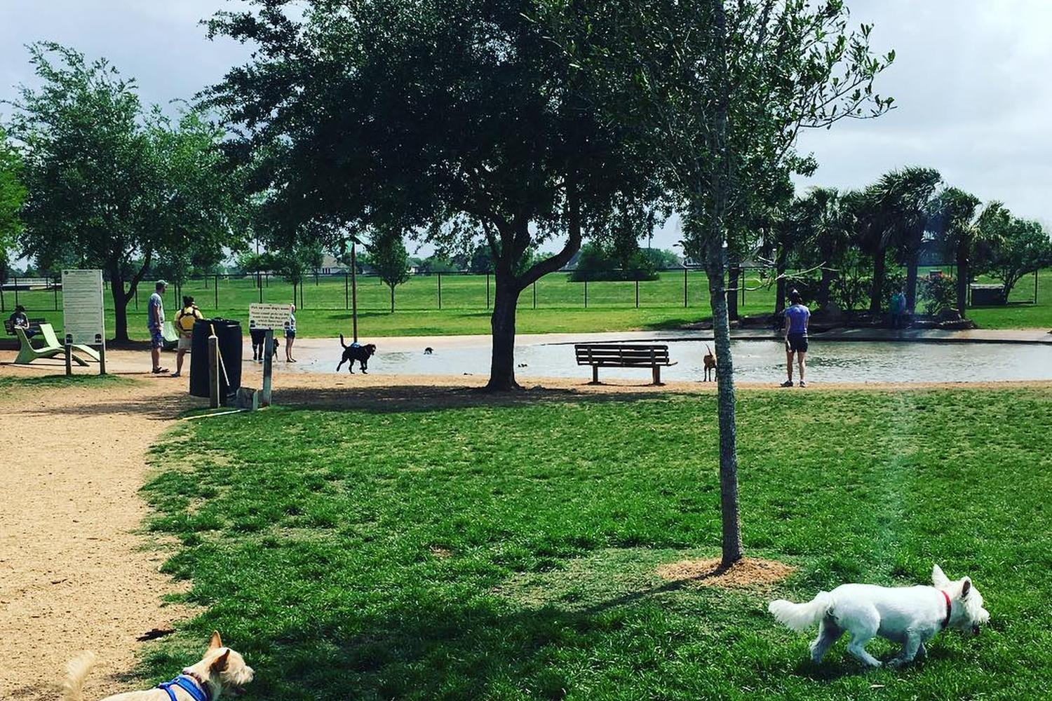 Pawm Springs Dog Park 2