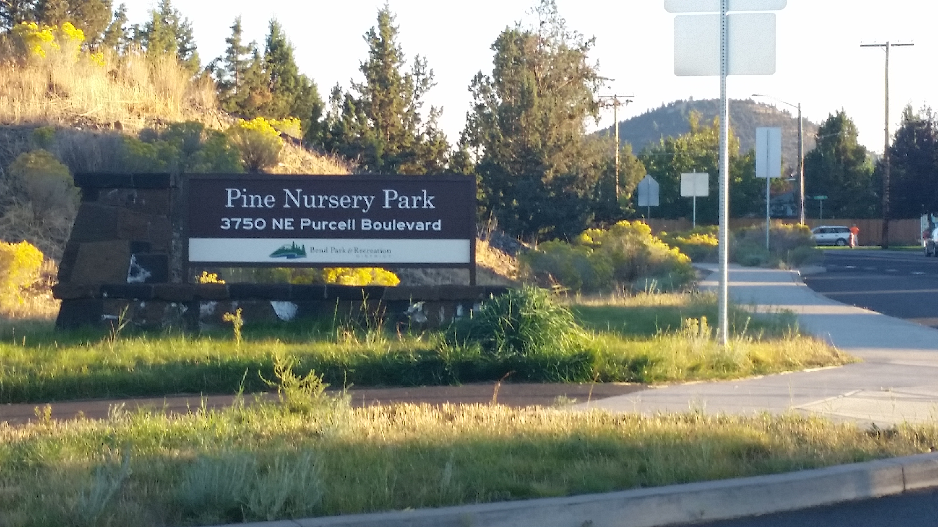 Pine Nursery Park 6