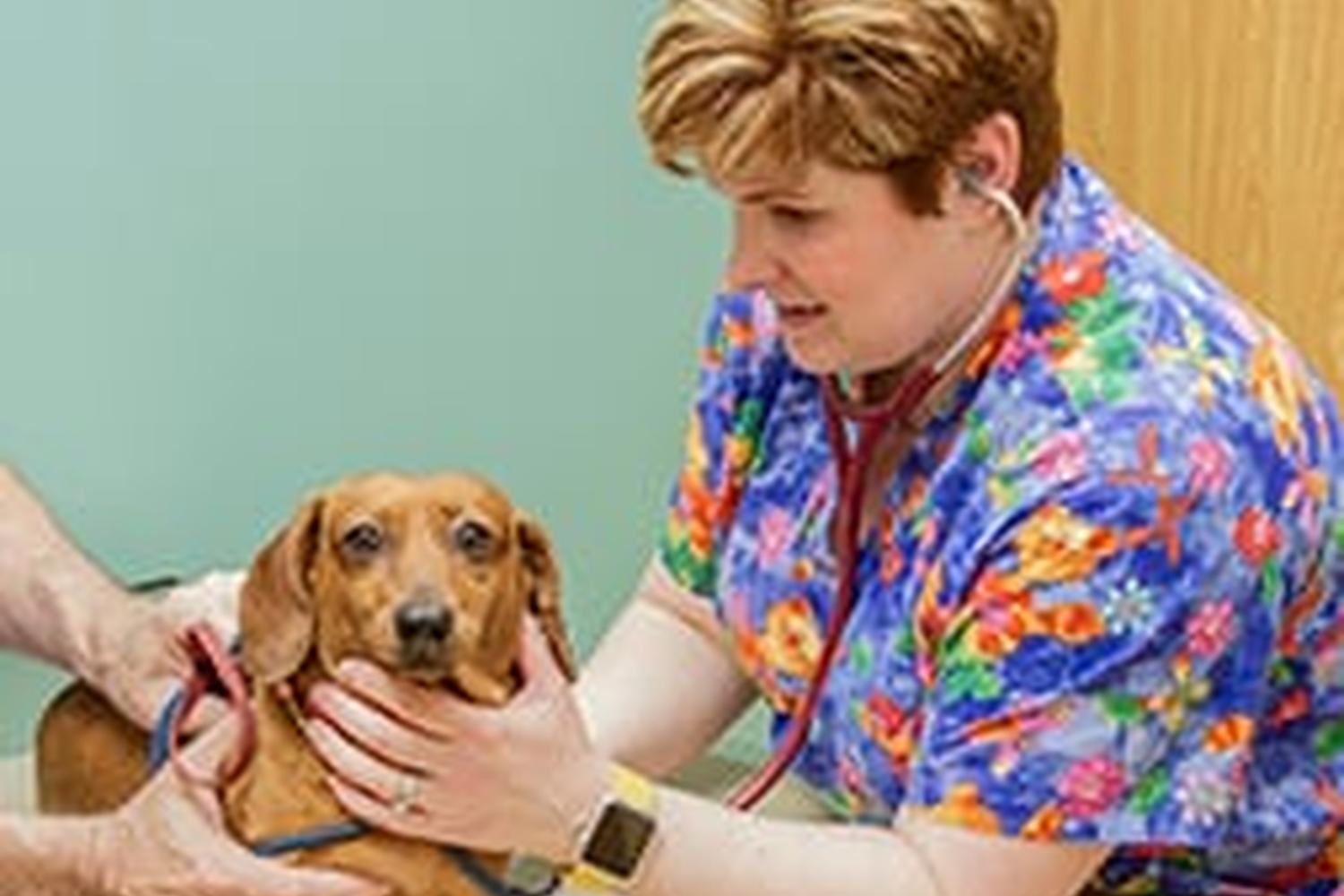 Brown Veterinary Hospital 4