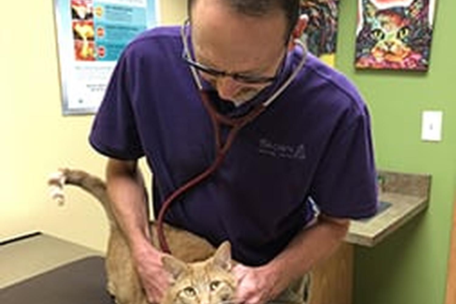 Brown Veterinary Hospital 3