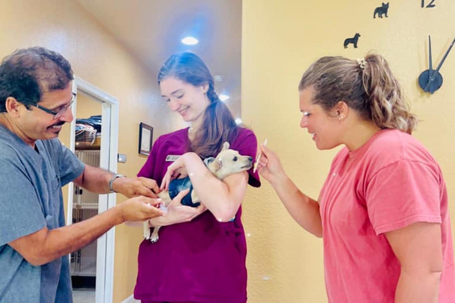 High Falls Holistic Veterinary Care 0
