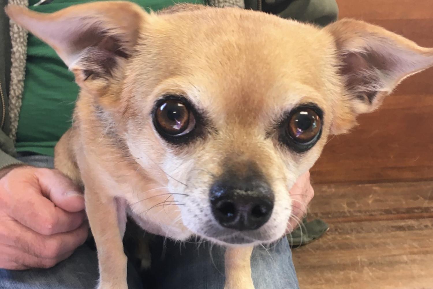 Bargersville Veterinary Hospital & Wellness Center 3