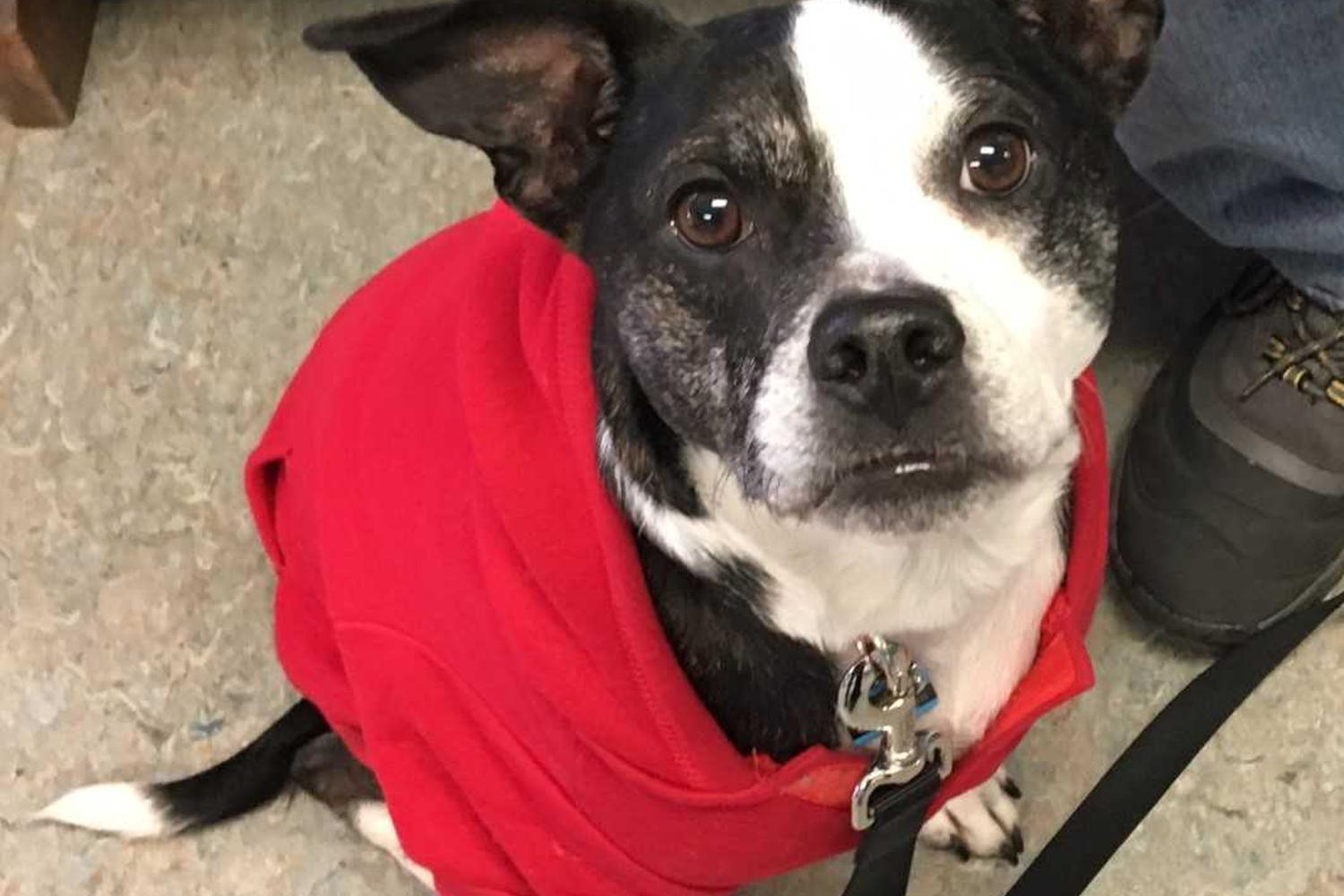 Bargersville Veterinary Hospital & Wellness Center 2