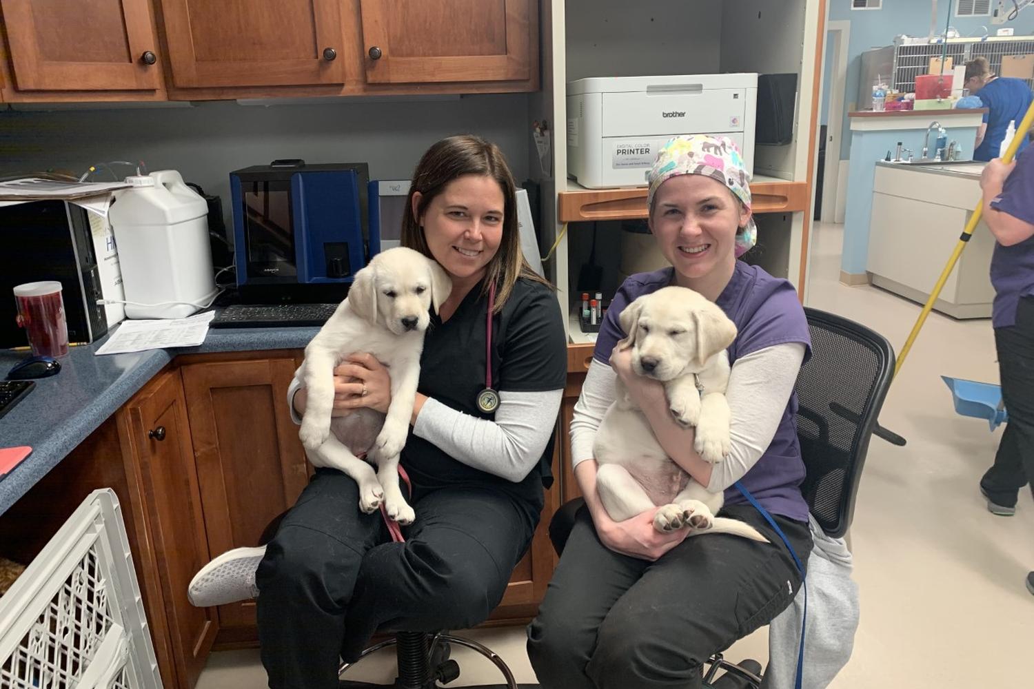 Bargersville Veterinary Hospital & Wellness Center 1