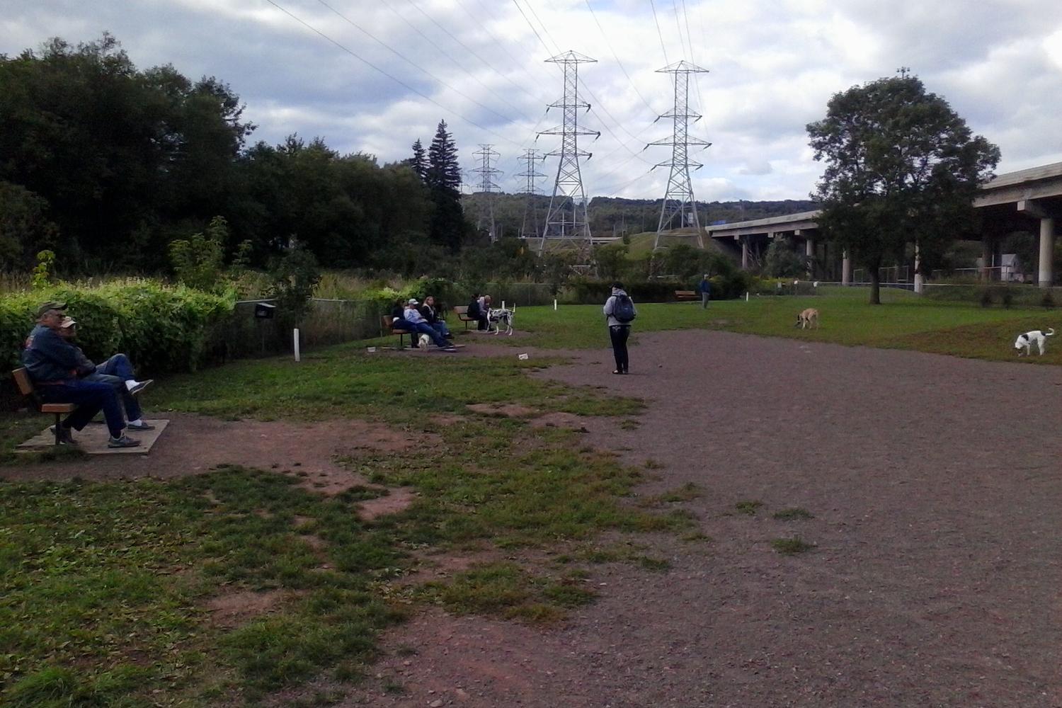 Keene Creek Dog Park 5