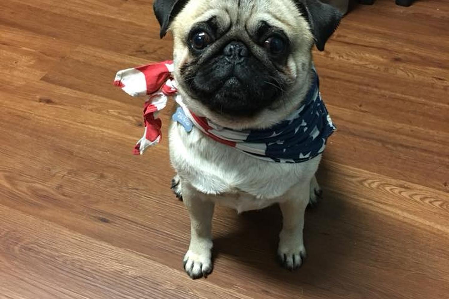 Countryside Veterinary Hospital 2