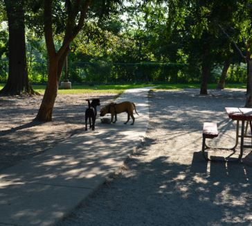 Towers Dog Park 1