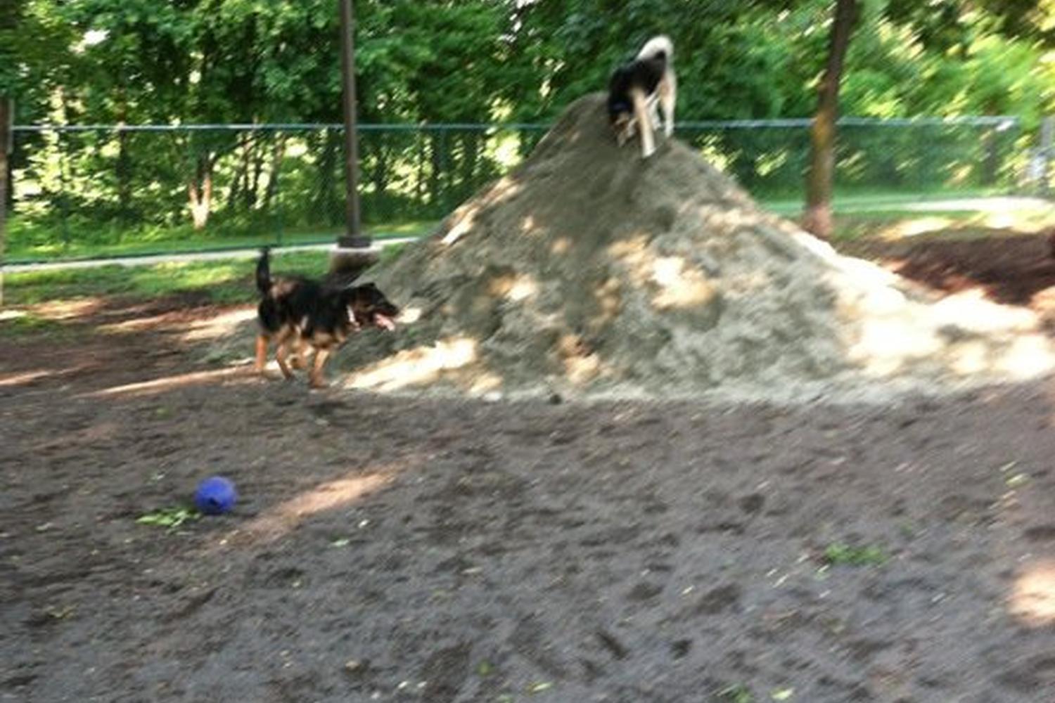 Towers Dog Park 0
