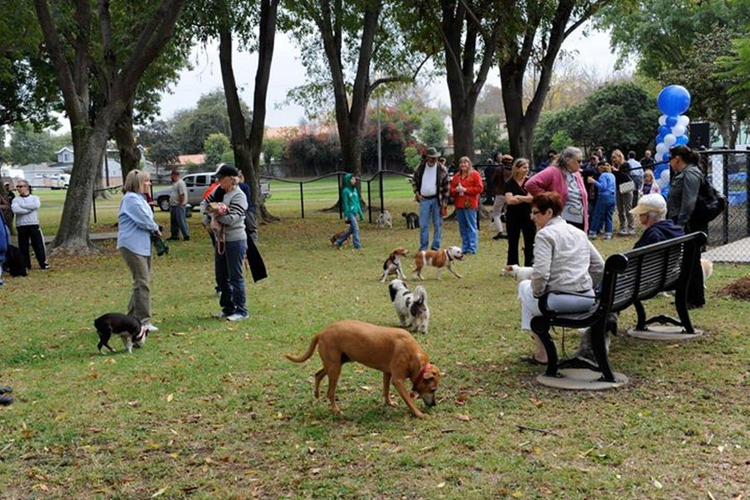 K-9 Corner Dog Park 5