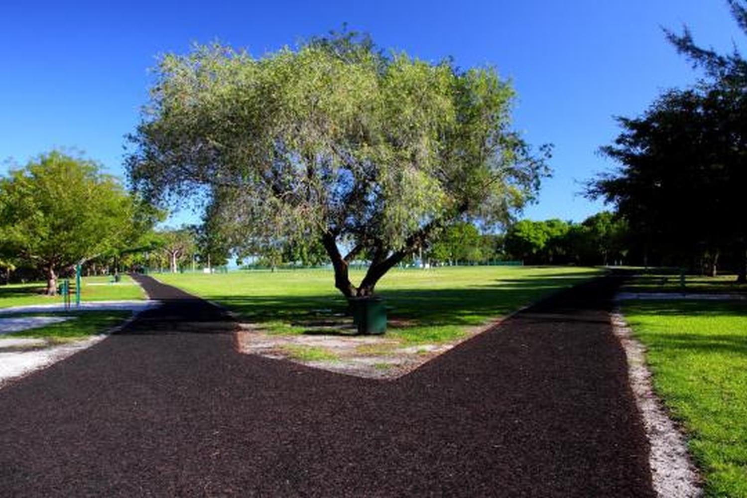 Kennedy Dog Park 3