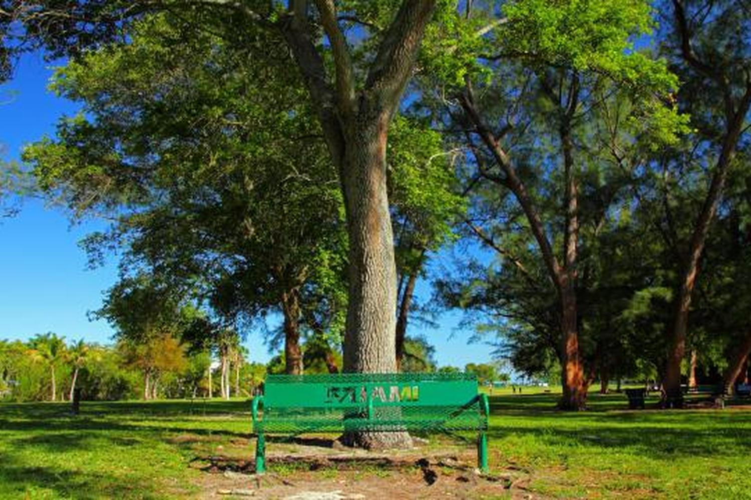 Kennedy Dog Park 1