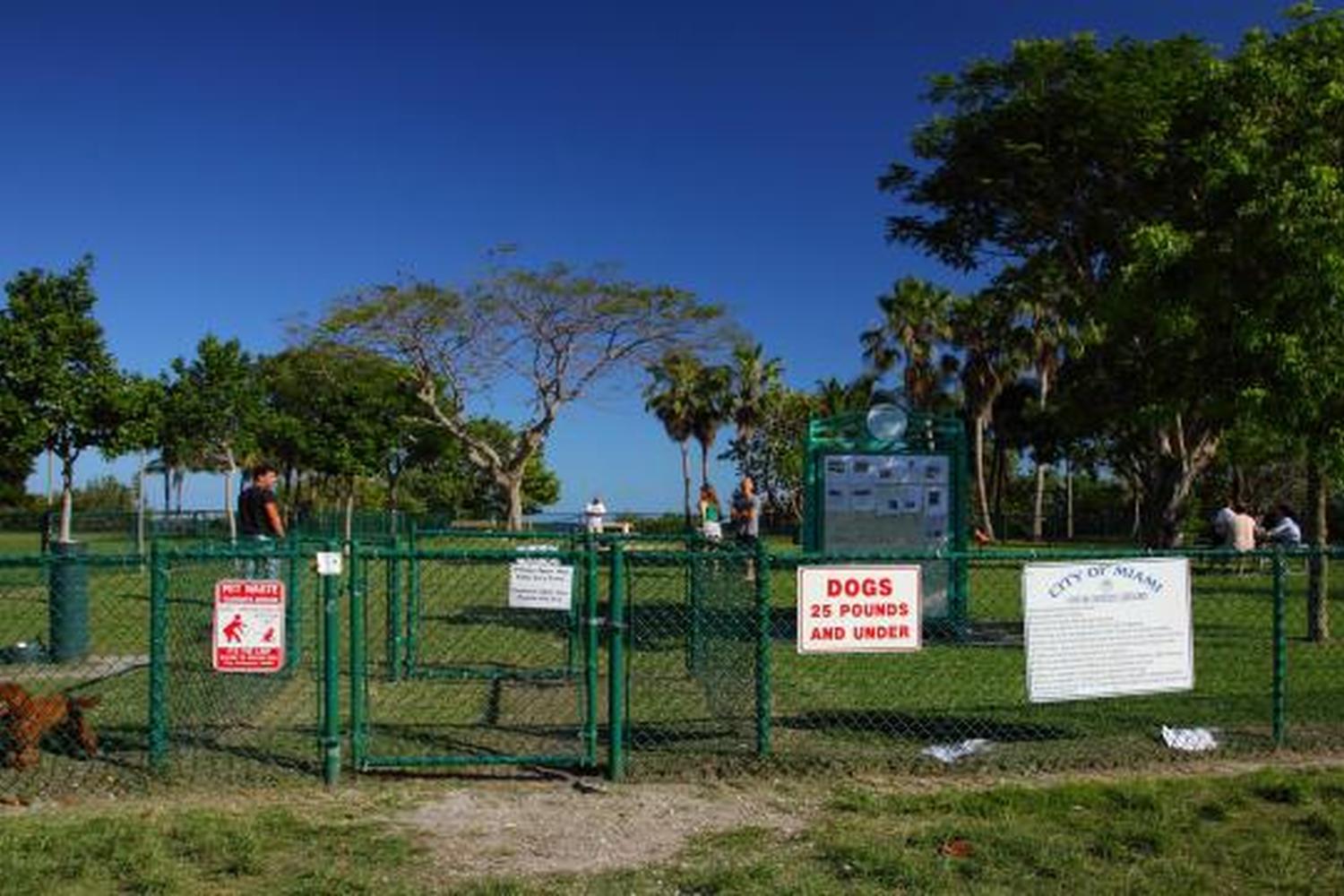 Kennedy Dog Park 0