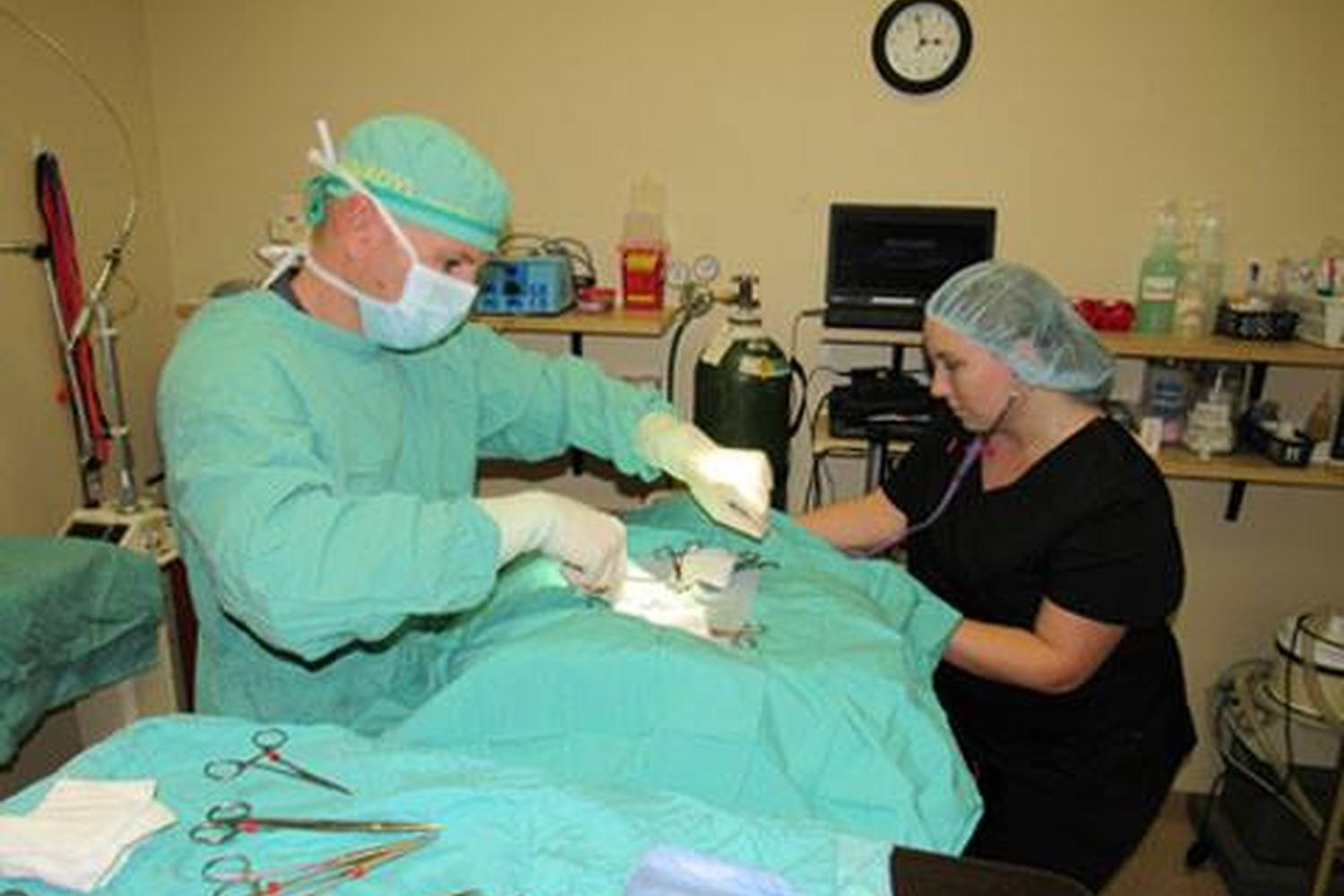 Beacon Veterinary Associates 7