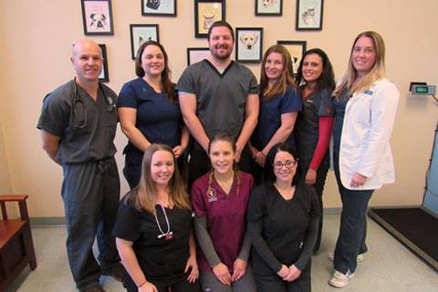 Beacon Veterinary Associates 1