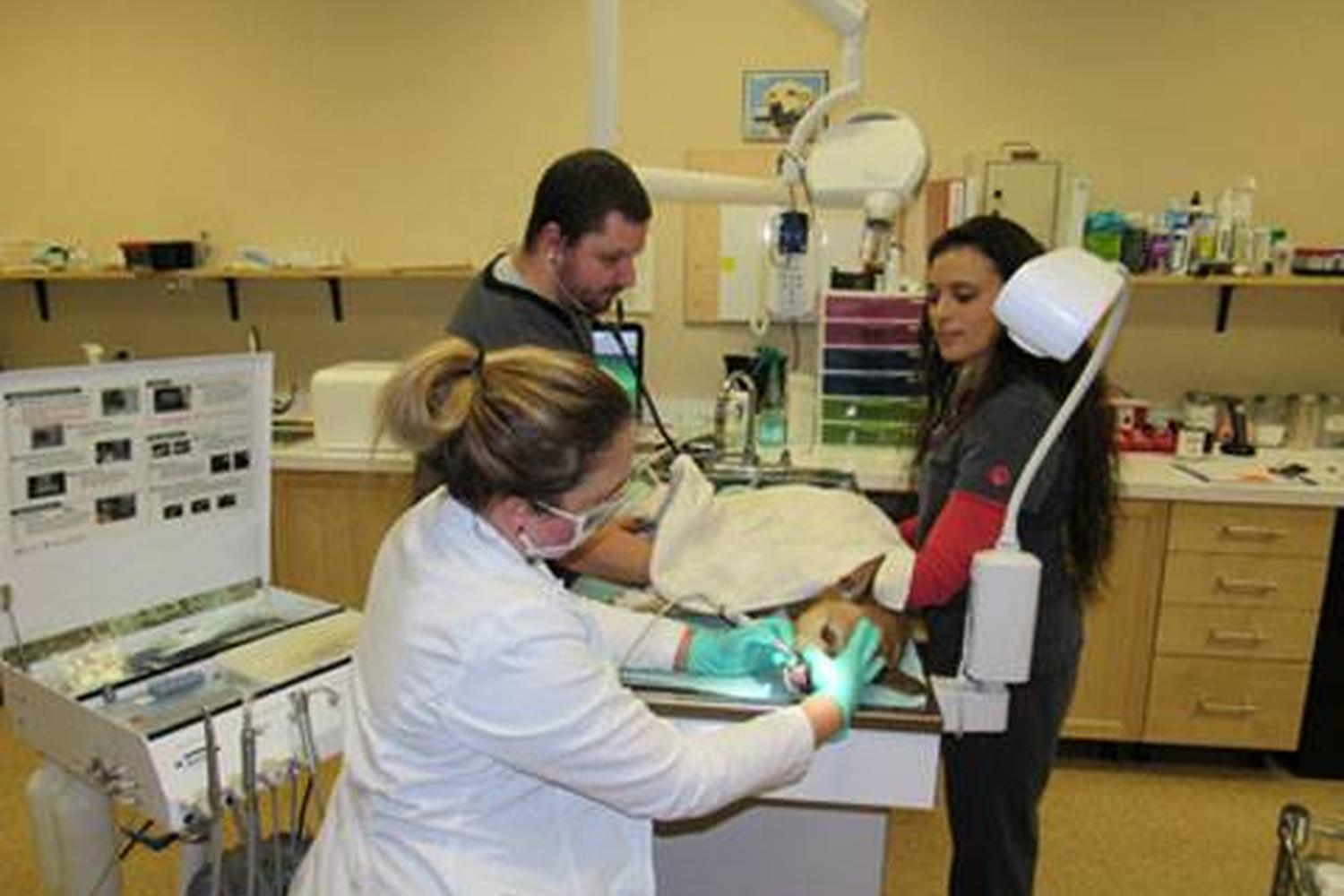 Beacon Veterinary Associates 2