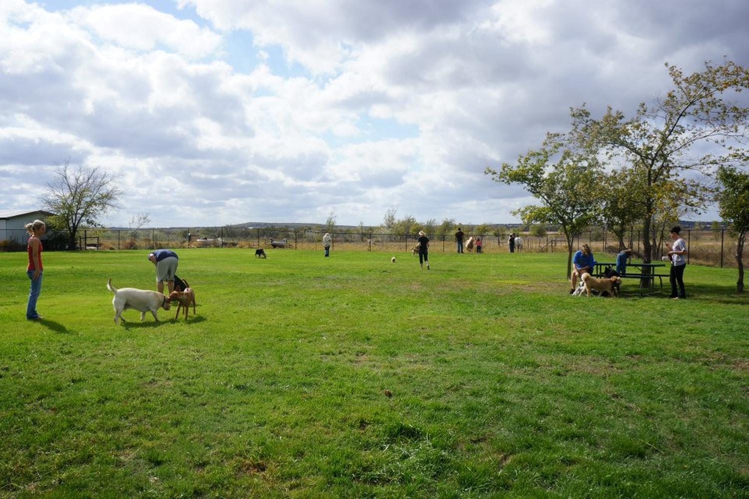 Pet Paradise Dog Park 4