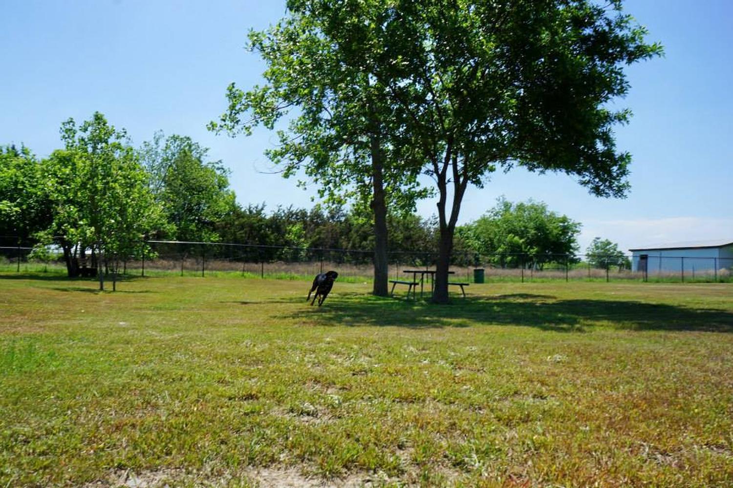 Pet Paradise Dog Park 7