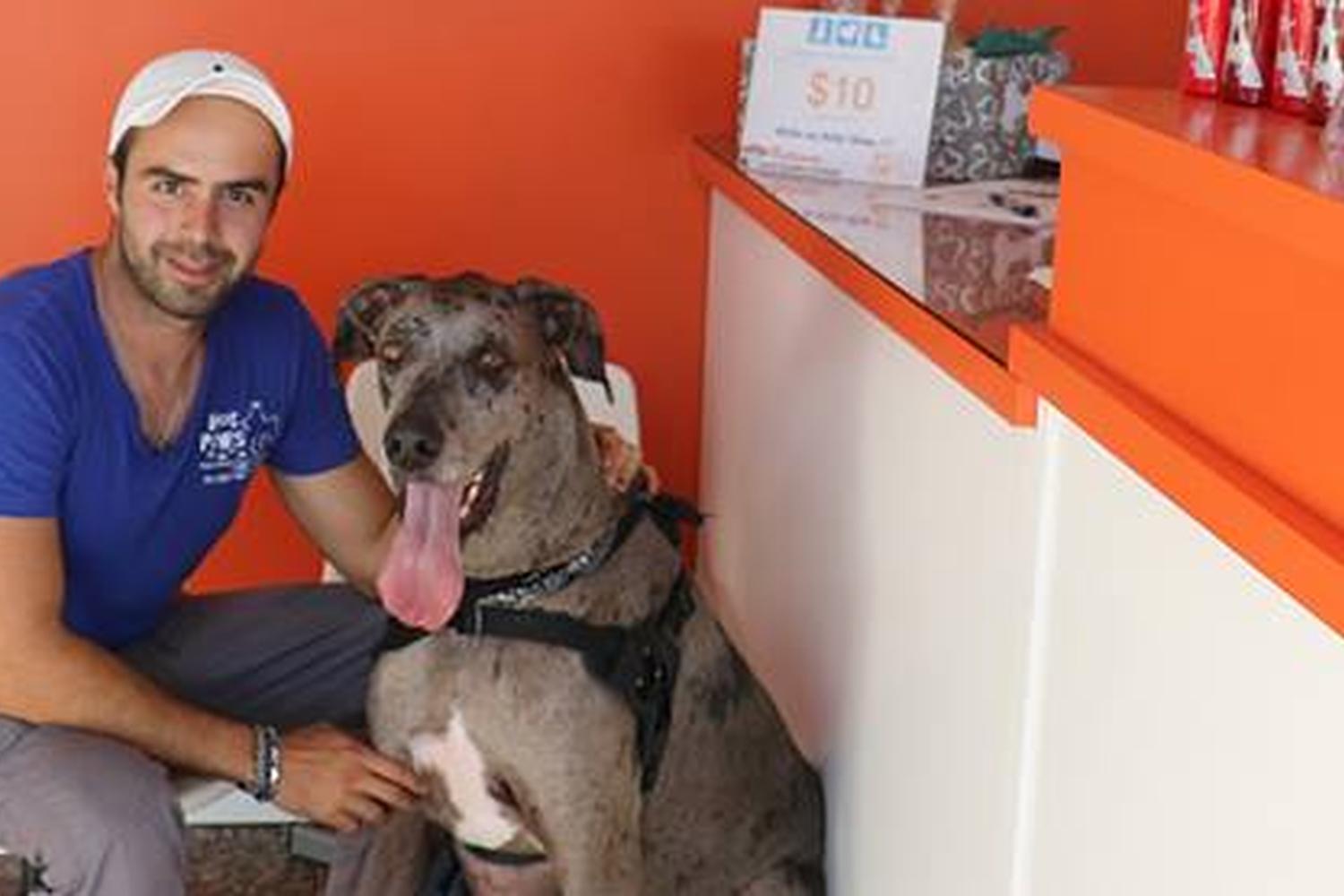 Hot Paws Pet Spa & Resort 2