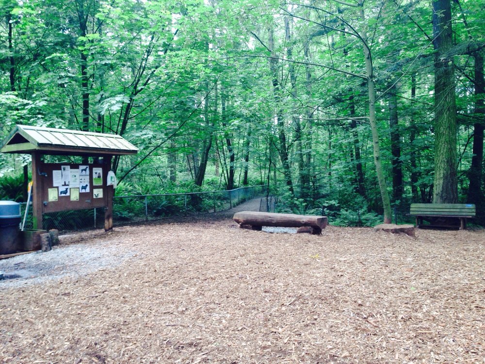 North Acres Dog Park 3