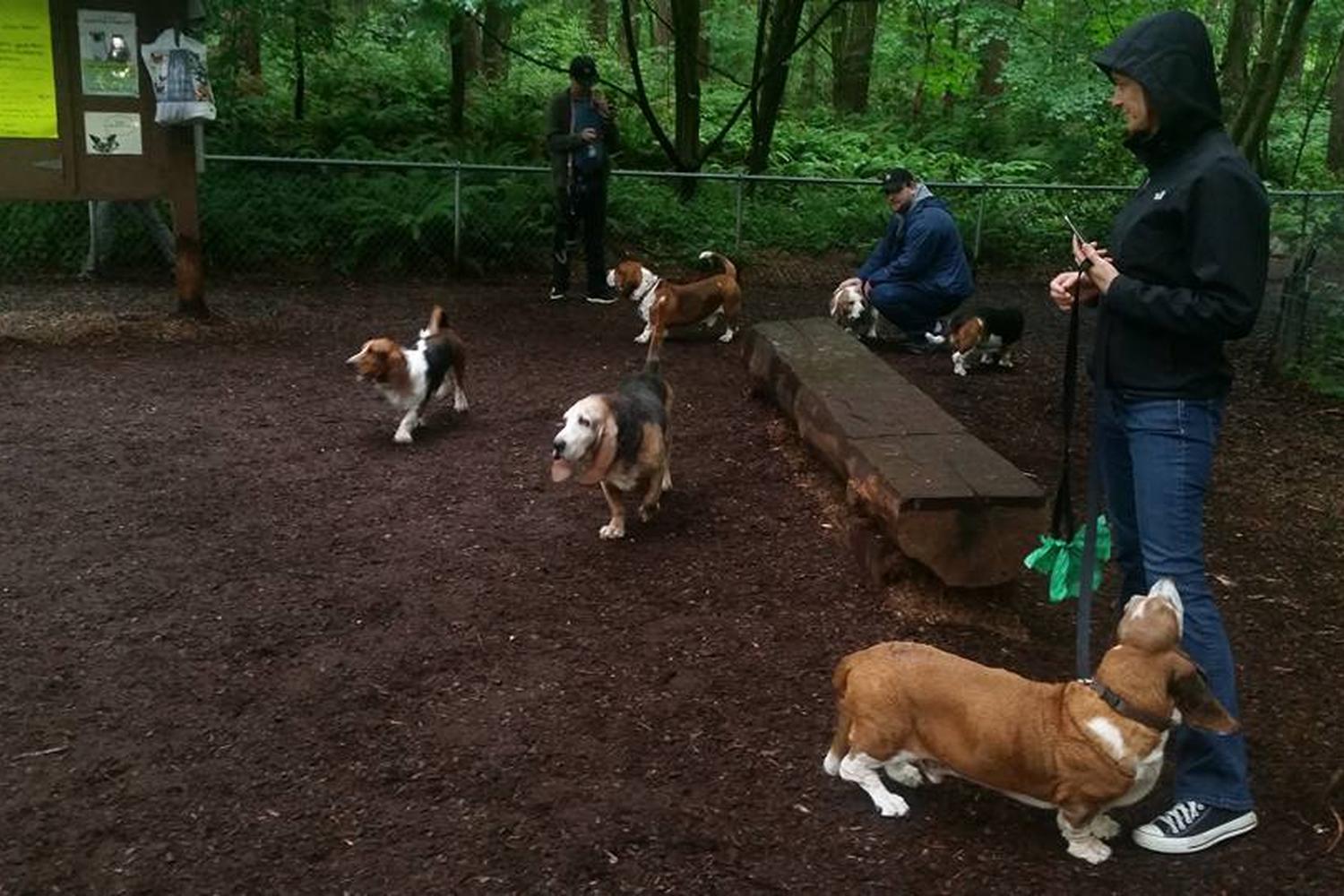 North Acres Dog Park 2