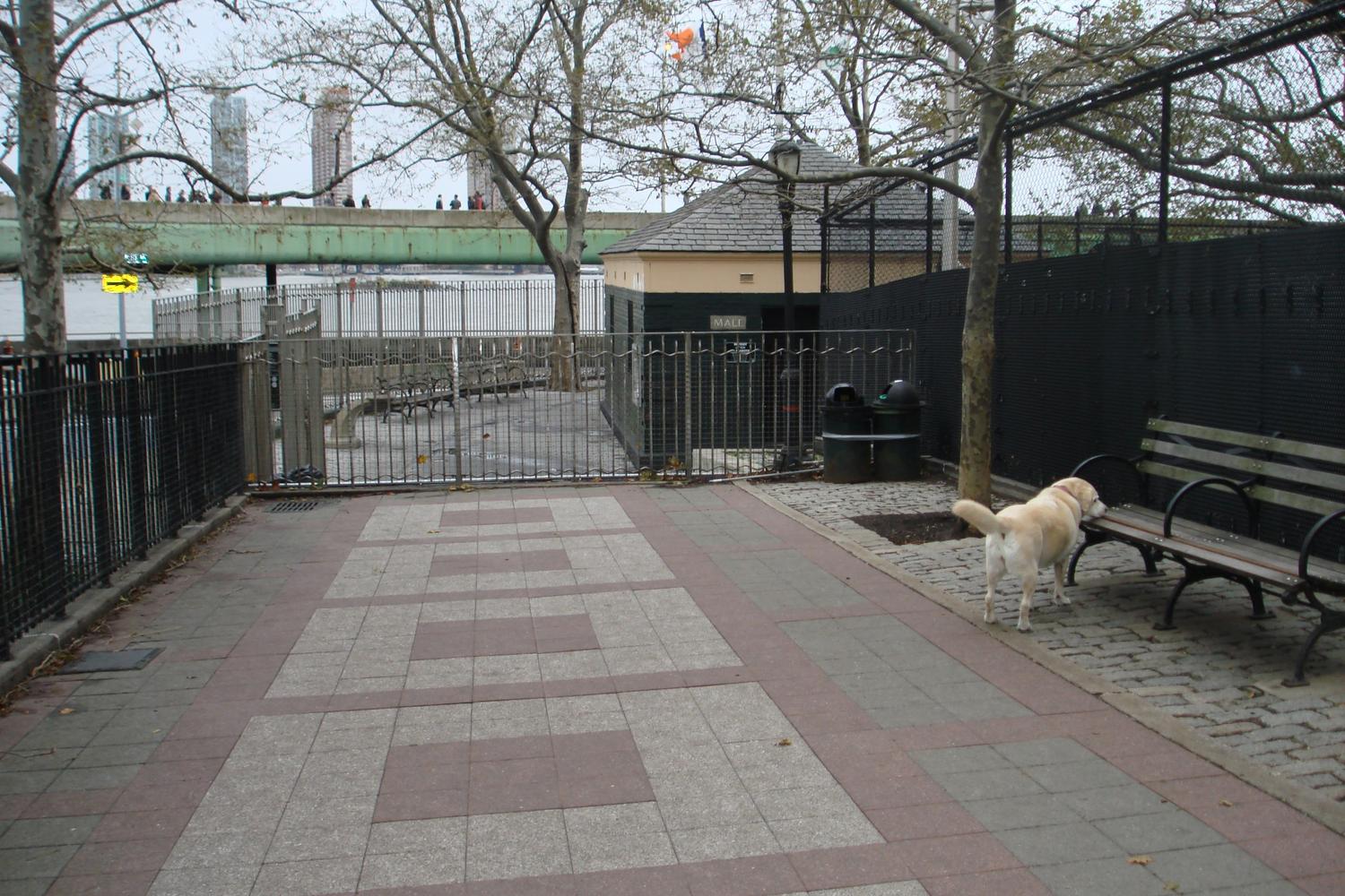 Robert Moses Dog Park 4